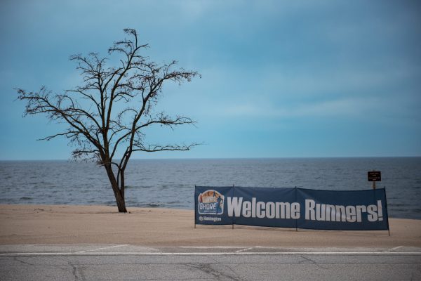 Foreshore26-133